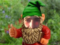 Auri Gnome
